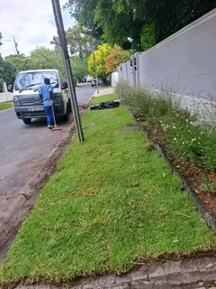 Cyndone grass and buffalo grass weed free