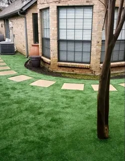 GREEN AND FRESH GRASS STRAIGHT FROM THE FARM  WhatsApp number 0672707801 PROFESSIONALS WITH IMMENSE