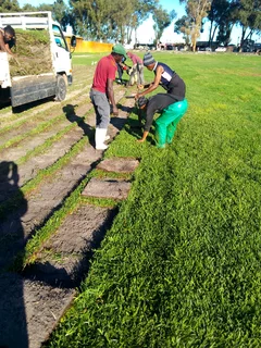 Delivery and installa off Kikuyu grass and buffalo grass