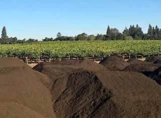 Delivery and installa off Kikuyu grass and buffalo grass