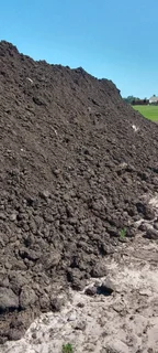 Roll on lawn Kikuyu grass