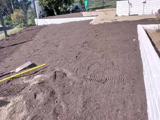 Roll on lawn Kikuyu grass