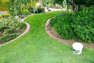 Roll on lawn Kikuyu grass