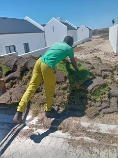 Supply and installa buffalo grass