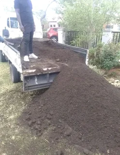 GREEN AND FRESH GRASS STRAIGHT FROM THE FARM  WhatsApp number 0672707801