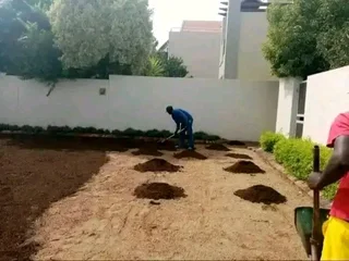 We do supply and installa Lm Berea grass