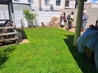 We do supply and installa   Cyndone grass and Kikuyu grass and