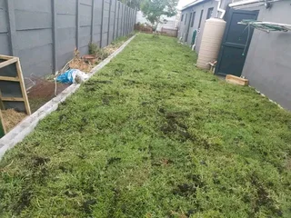 We do supply and installa   Cyndone grass and Kikuyu grass and