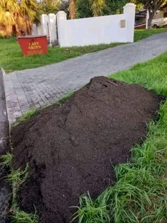 We do supply and installa   Cyndone grass and Kikuyu grass and