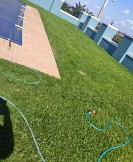 We do supply and installa   Cyndone grass and Kikuyu grass and