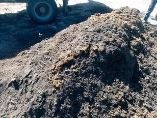 We do supply and installa   Cyndone grass and Kikuyu grass and