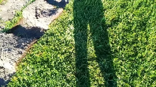 Green and fresh grass