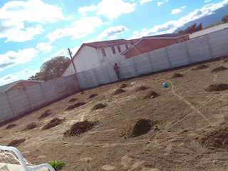 Green and fresh grass