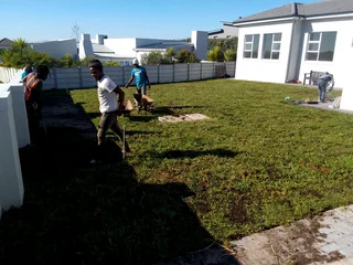 Roll on lawn Lm Berea grass