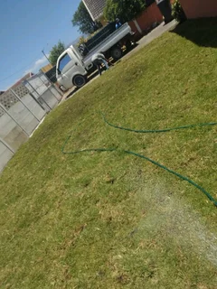 Roll on lawn Lm Berea grass