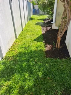 Supply and installa buffalo grass