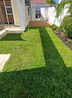 Supply and installa buffalo grass