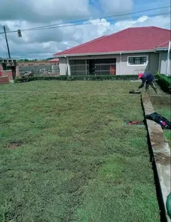 Delivery and installa off Kikuyu grass