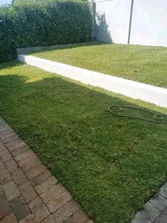 Delivery and installa off Kikuyu grass