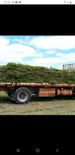 We do supply and installa buffalo grass and Kikuyu grass