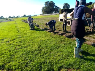 We do supply and installa fresh grass