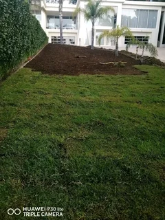 We do supply and installa fresh grass