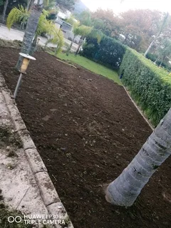 We do supply and installa fresh grass