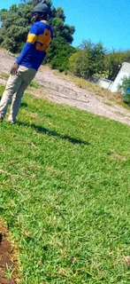 Supply and installa Lm Berea grass