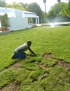 Professionals With Immense Experience In Installation & Laying National Grass