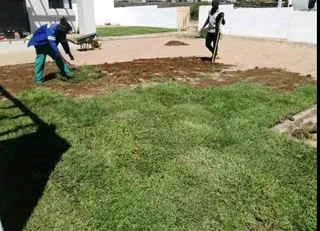 PROFESSIONALS WITH IMMENSE EXPERIENCE IN INSTALLATION &amp; LAYING NATIONAL GRASS