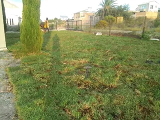 We are supply and installa call type of roll on lawn fresh grass