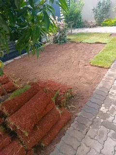 We are supply and installa call type of roll on lawn fresh grass