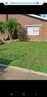 LM Berea grass and buffalo grass weed free