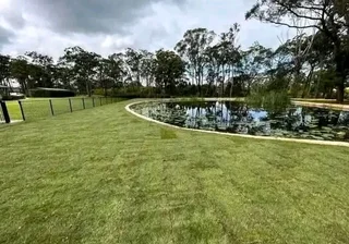 Delivery or installa New grass 100%