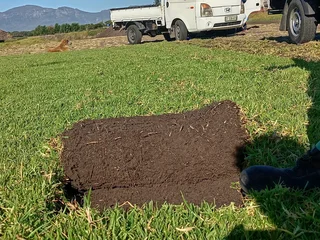 Roll on lawn fresh grass