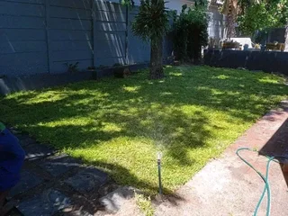 Roll on lawn fresh grass