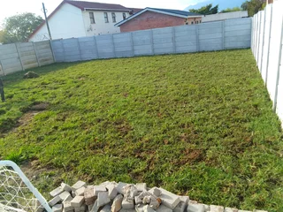 Roll on lawn Kikuyu grass