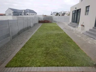 Roll on lawn Kikuyu grass