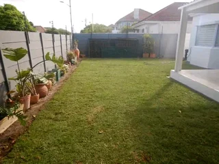 Roll on lawn Kikuyu grass