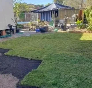 Roll on lawn Kikuyu grass and Lm Berea grass