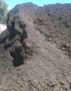 Roll on lawn Kikuyu grass and Lm Berea grass