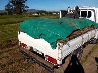 Supply and installa buffalo grass