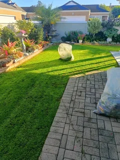 Supply and installa fresh grass