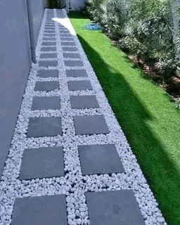 GREEN AND FRESH GRASS STRAIGHT FROM THE FARM  WhatsApp number 0672707801