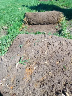 We do sell call type of roll on lawn Kikuyu grass &amp; LM Berea grass and buffalo grass