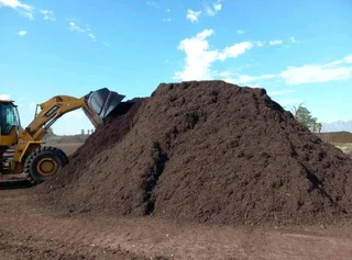 We do sell call type of roll on lawn Kikuyu grass &amp; LM Berea grass and buffalo grass