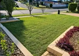 Laying national green and fresh grass