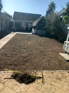 We are supply and installa off roll on lawn Lm Berea grass and buffalo grass national