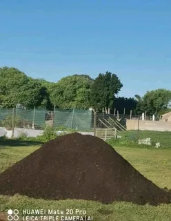 Roll on lawn Kikuyu grass