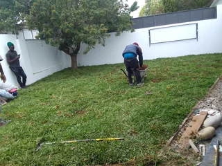 Delivery and installa fresh and green grass